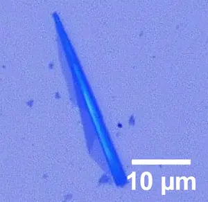 1D MXene Nanoscroll
