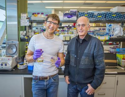 Michael Thelen and Thomas Ruegg, Lawrence Berkeley National Laboratory