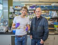 Michael Thelen and Thomas Ruegg, Lawrence Berkeley National Laboratory