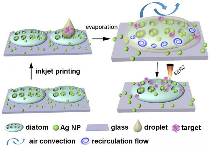 Optofluidic Sensor