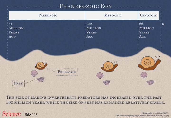 Marine Predators: Bigger in Size With an Appetite to Match