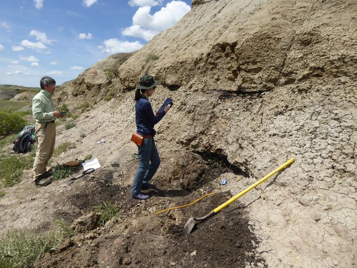 Fieldwork in the U.S.