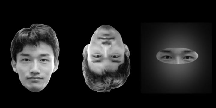 Images Used for the Face Perception Study