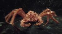 King Crabs Threaten Antarctic Ecosystem