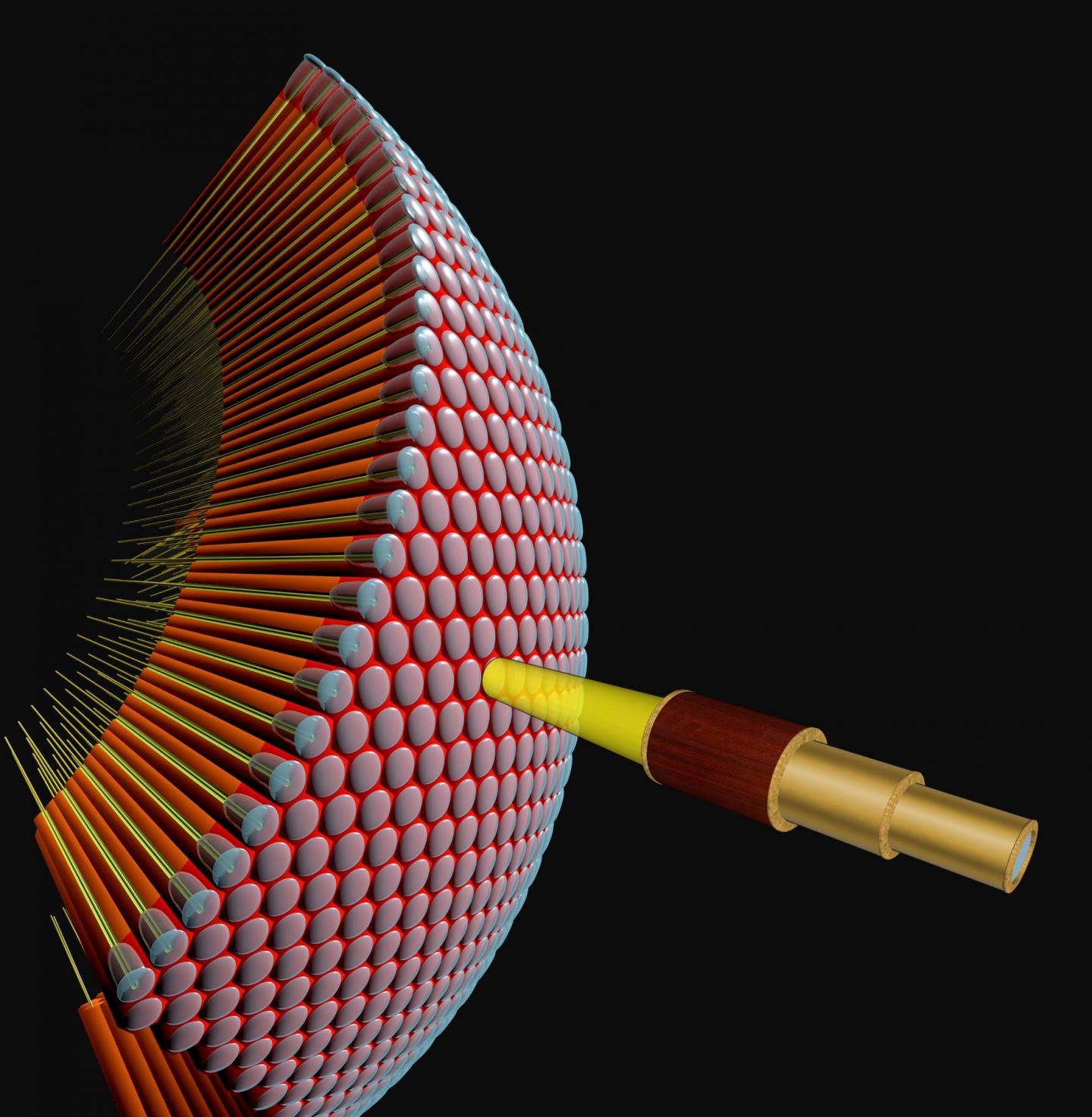 Neuron Unites Two Theoretical Models on Motion Detection