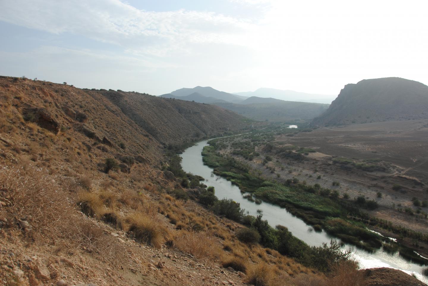 Lower Moulouya River