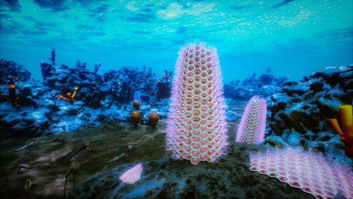 Life in the Cambrian sea