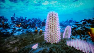 Life in the Cambrian sea