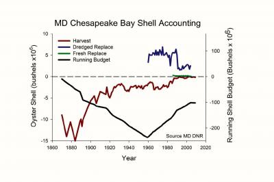 Shell Budget