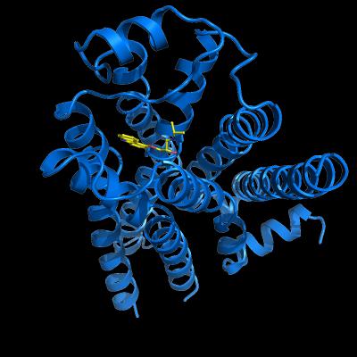 Crystal Structure