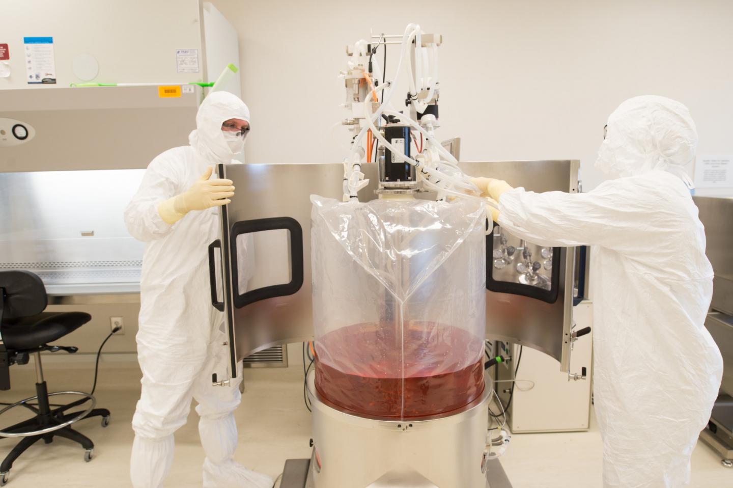 BioMARC Lab Work