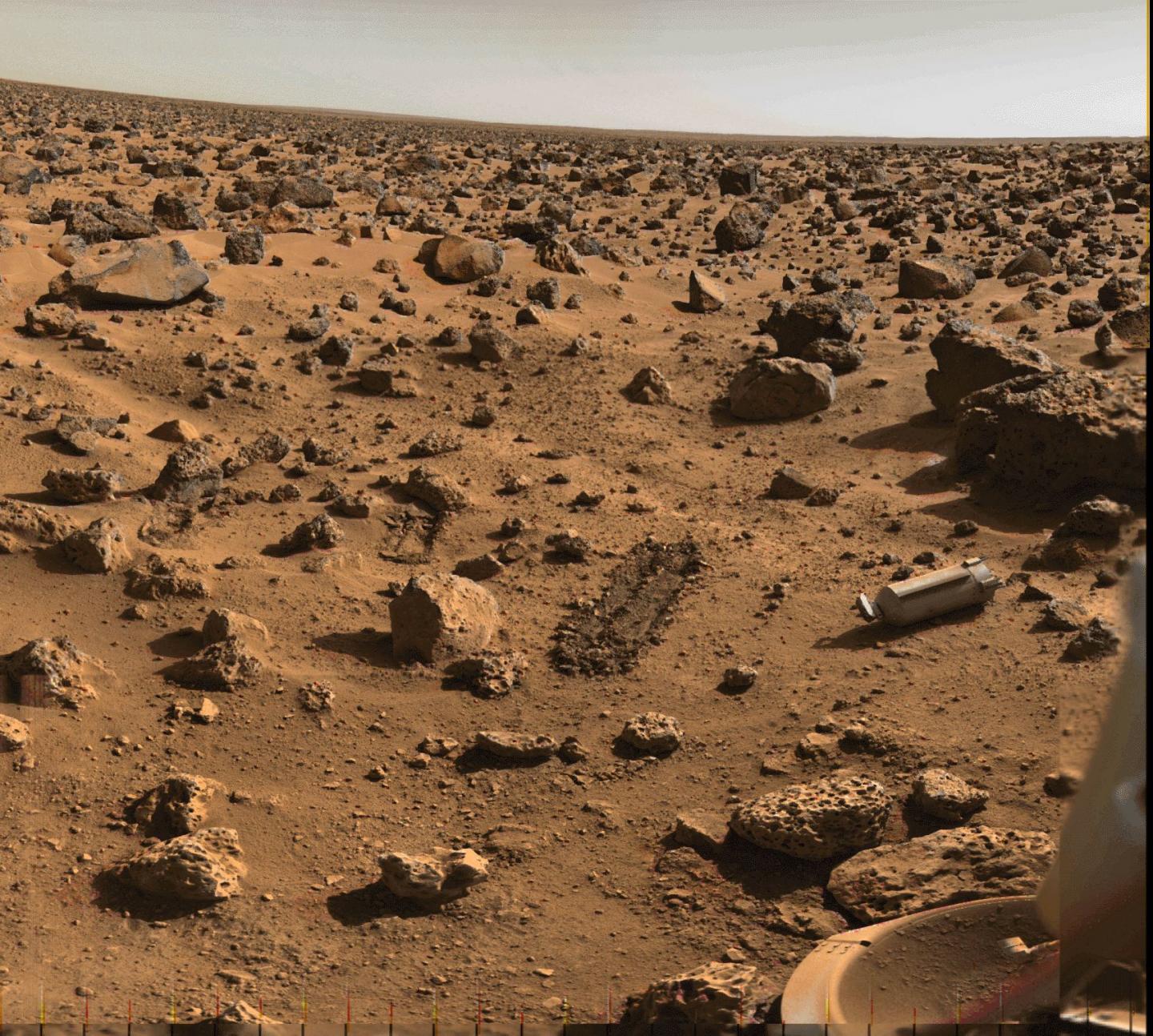 Viking Lander