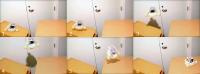Robot Jumping