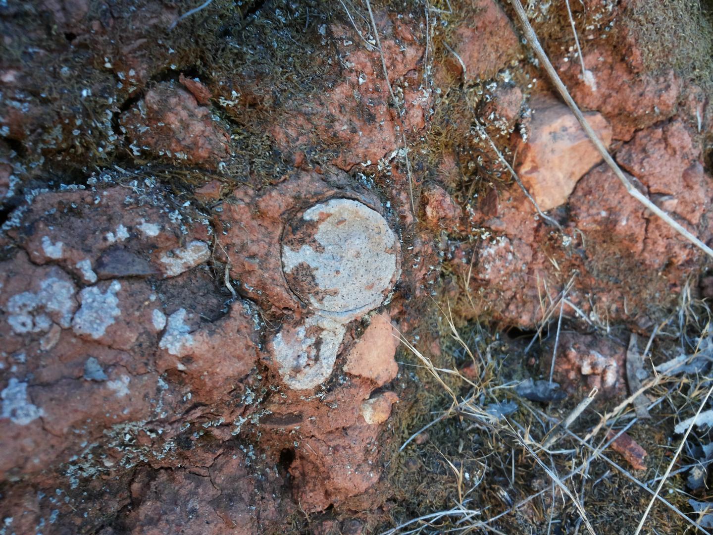 Camouflaged Trapdoor