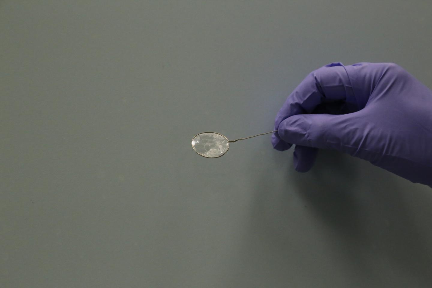 Nanofilms for Organic Separations (2 of 5)