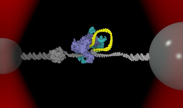 Optical Tweezers