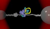 Optical Tweezers