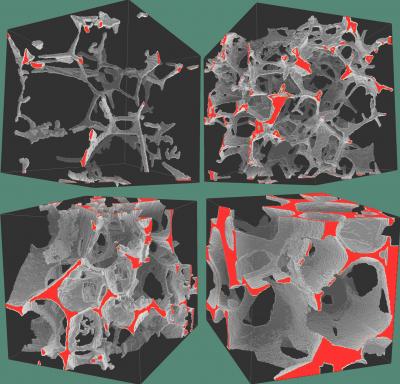 How Molten Rocks Become Oceanic Crust (2 of 2)
