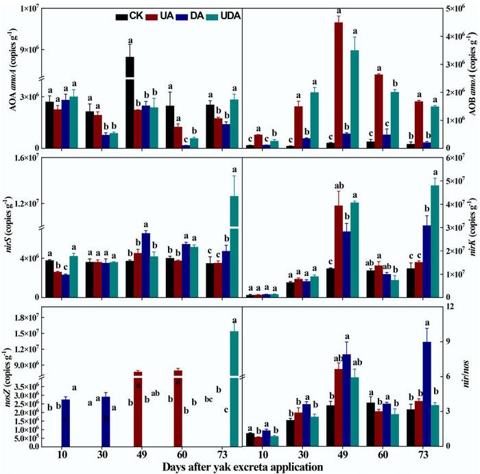 The abundances of nitrifying functional gene (AOA amoA and AOB amoA), denitrifying functional gene (nirS, nirK and nosZ) and nir/nos under different yak excreta application treatments.