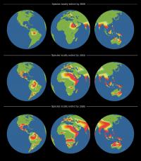 Maps