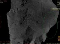 Scan of Parts of Skeleton Embedded in Rock