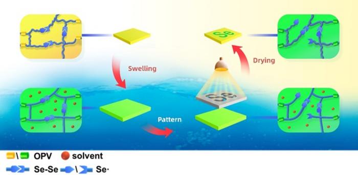 Scheme for the mechanism of fluorescence patterning based on controllable stress relaxation under visible light