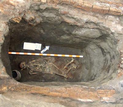 Yamnaya Skeleton