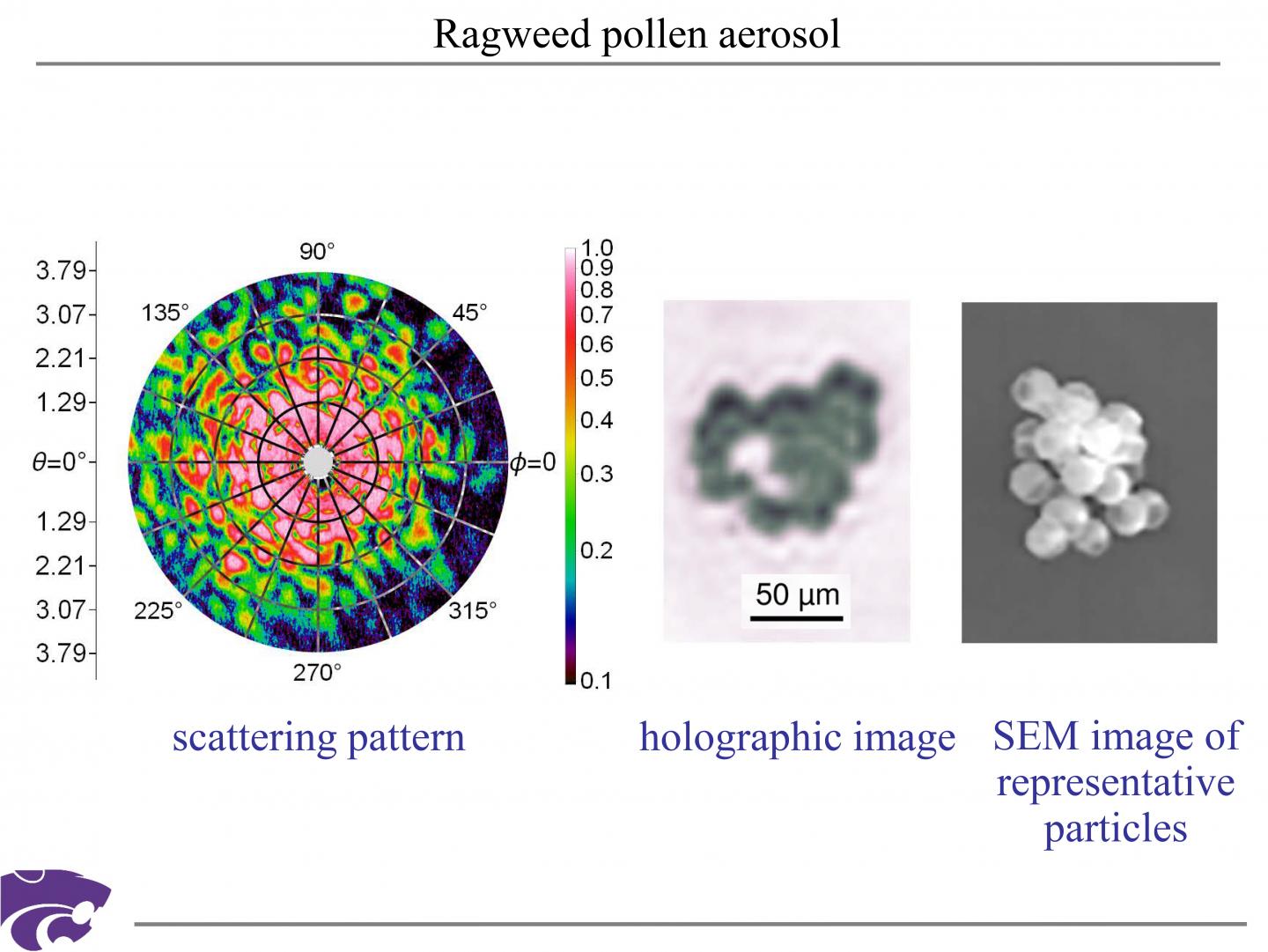Ragweed Pollen Aerosol