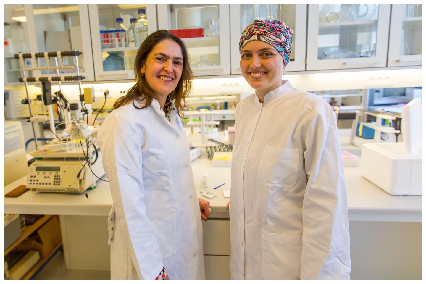 Researchers