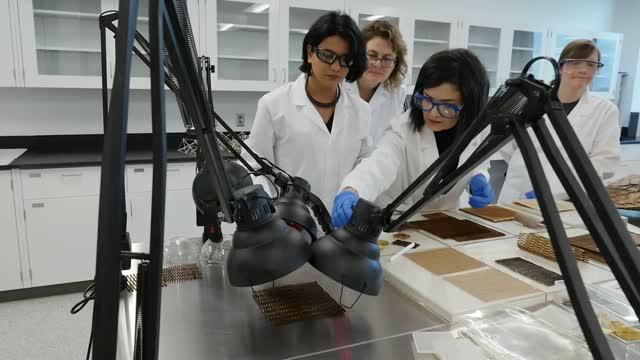 Engineering Smart Building Skins For Cleaner, Greener Architecture