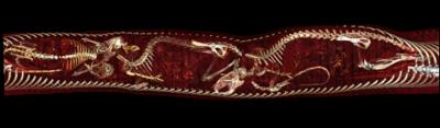 3 Rats in Python