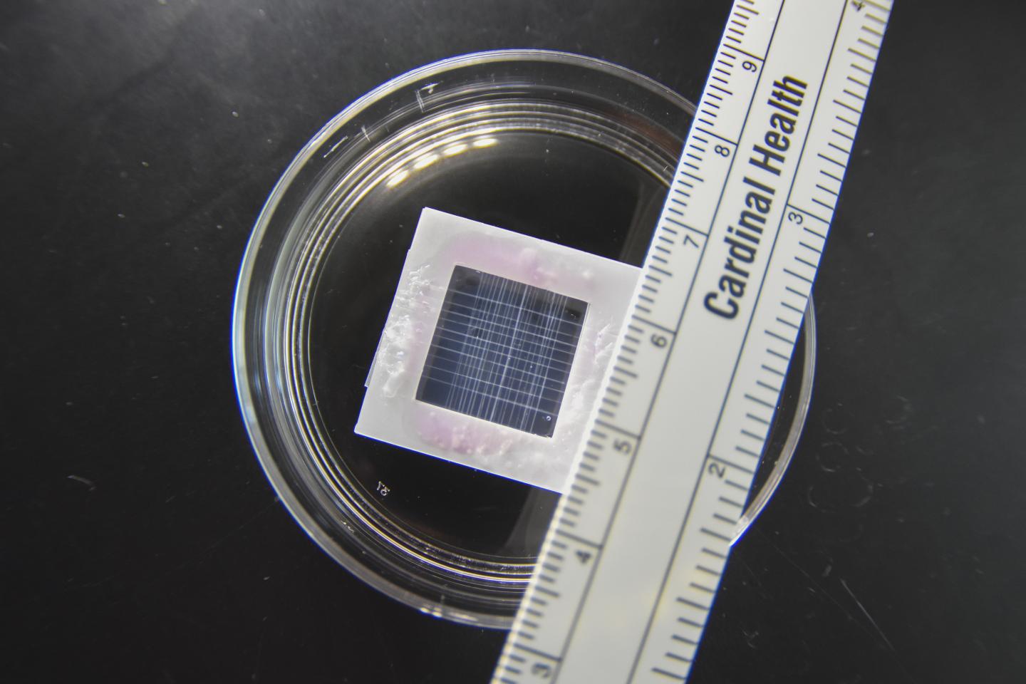 WPI Heart Patch Close-up