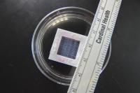 WPI Heart Patch Close-up