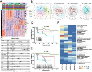 Proteomic analysis identifies distinct GSRCC subtypes with divergent clinical outcomes.