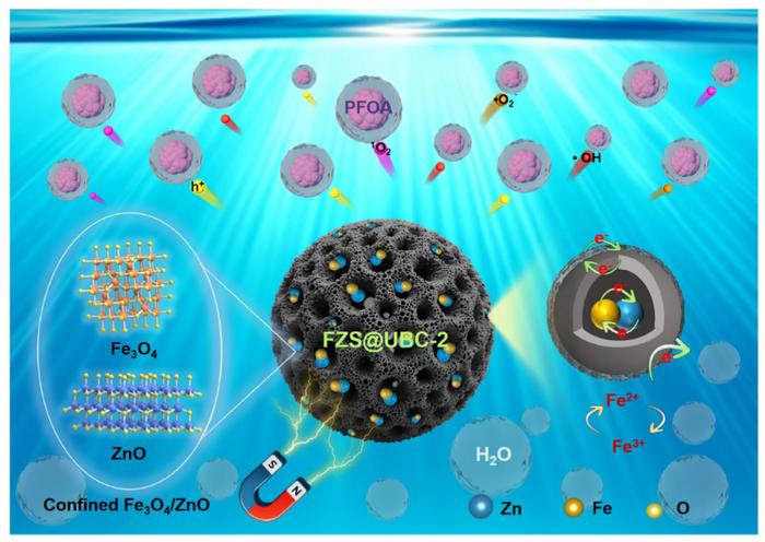 Cage-like ulva biochar confined synthesis of Fe₃O₄/ZnO heterojunction nanoparticles for synergistic adsorption and photocatalytic degradation of PFOA