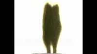Silhouette Stimuli