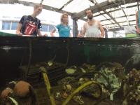 Coral Farm