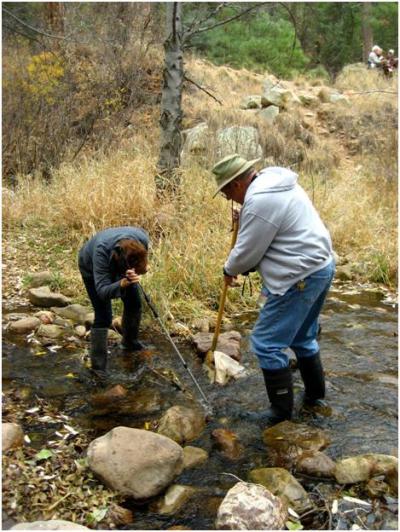 Watershed Stewards