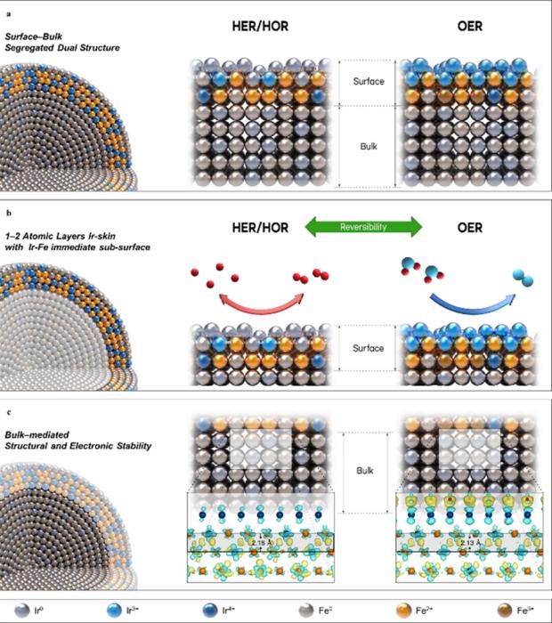Dynamic segregated-surface reconstruction mechanism of the IrFe/C catalyst