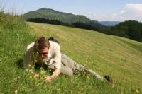 Searching for Butterfly Larvae