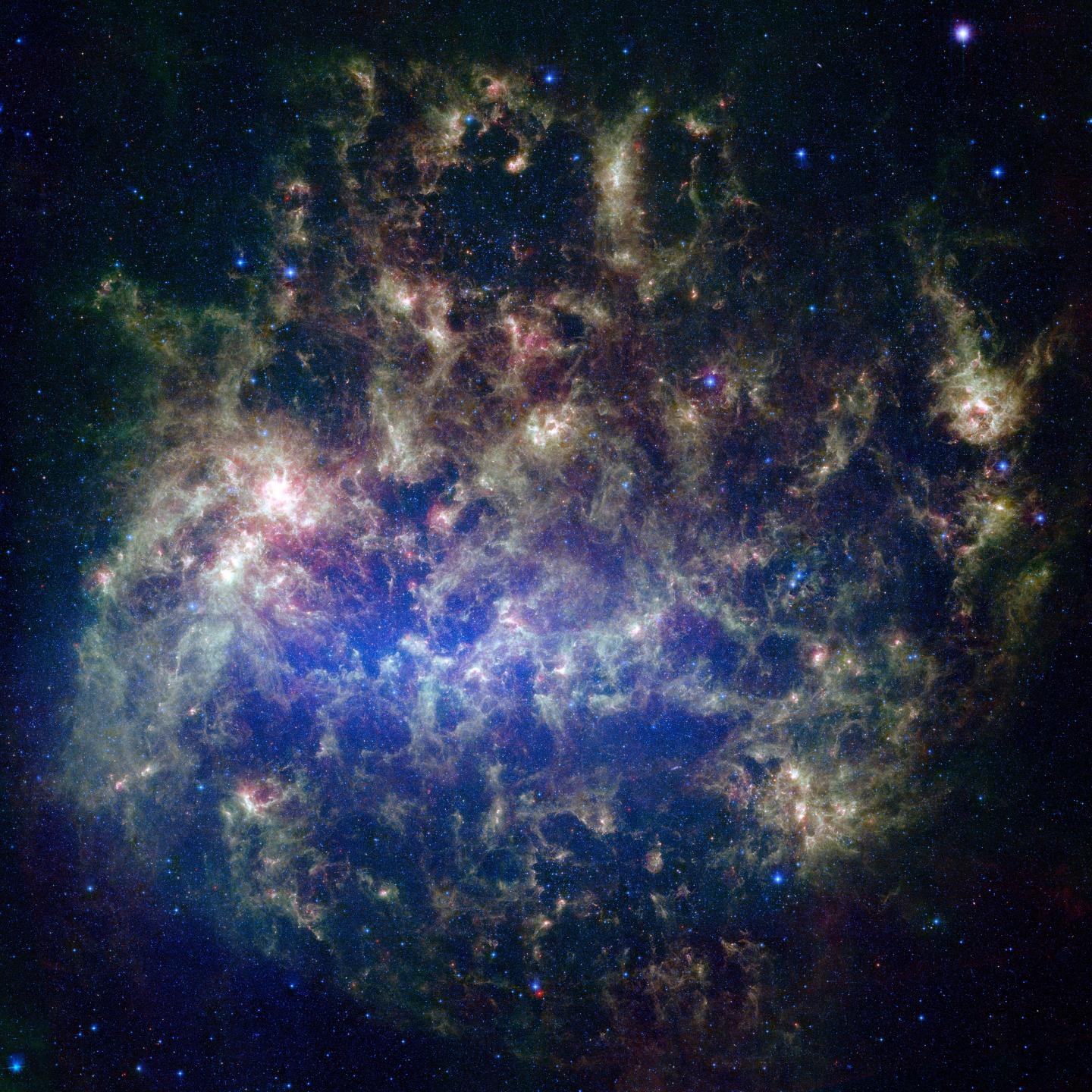 The Large Magellanic Cloud