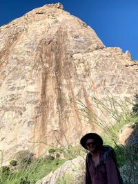 In the Coyote Mountains
