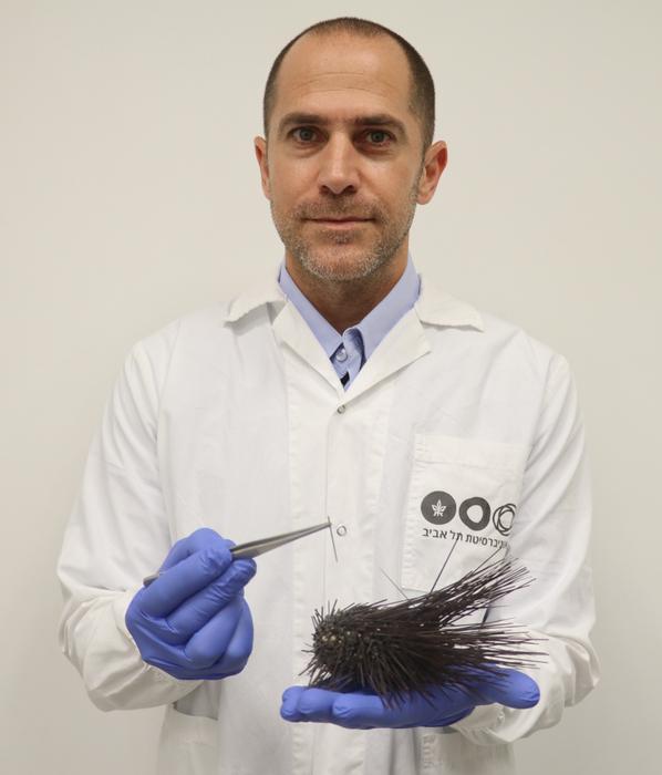 Prof. Omri Bronstein