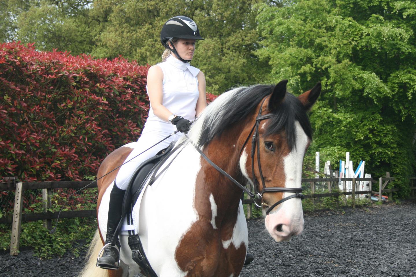 Dr. Chavaunne Thorpe Riding