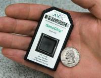 PhyloChip