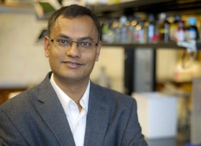 Subhrangsu Mandal, University of Texas Arlington