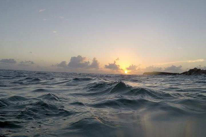Surface waters