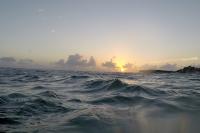 Surface waters