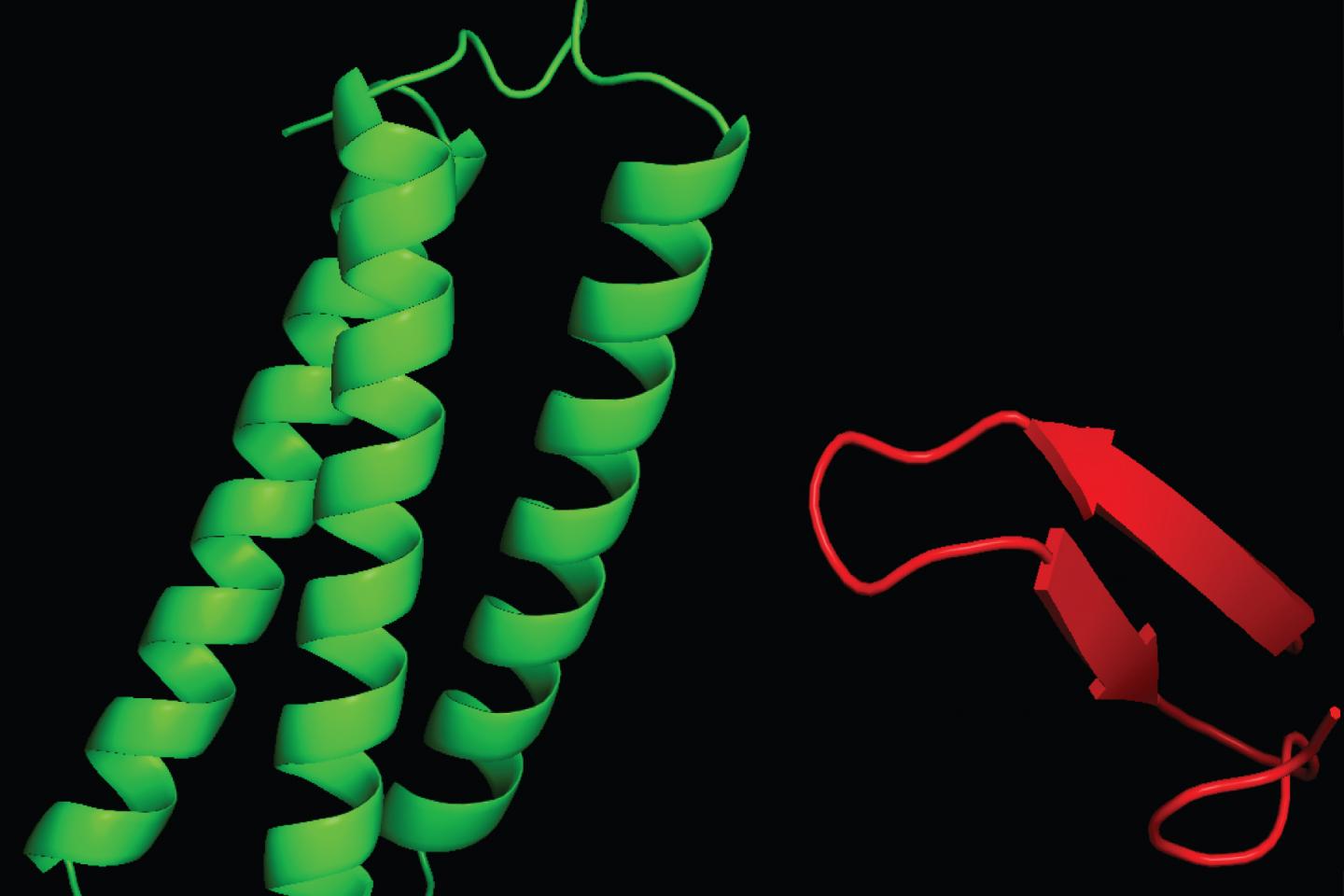 Protein Interaction