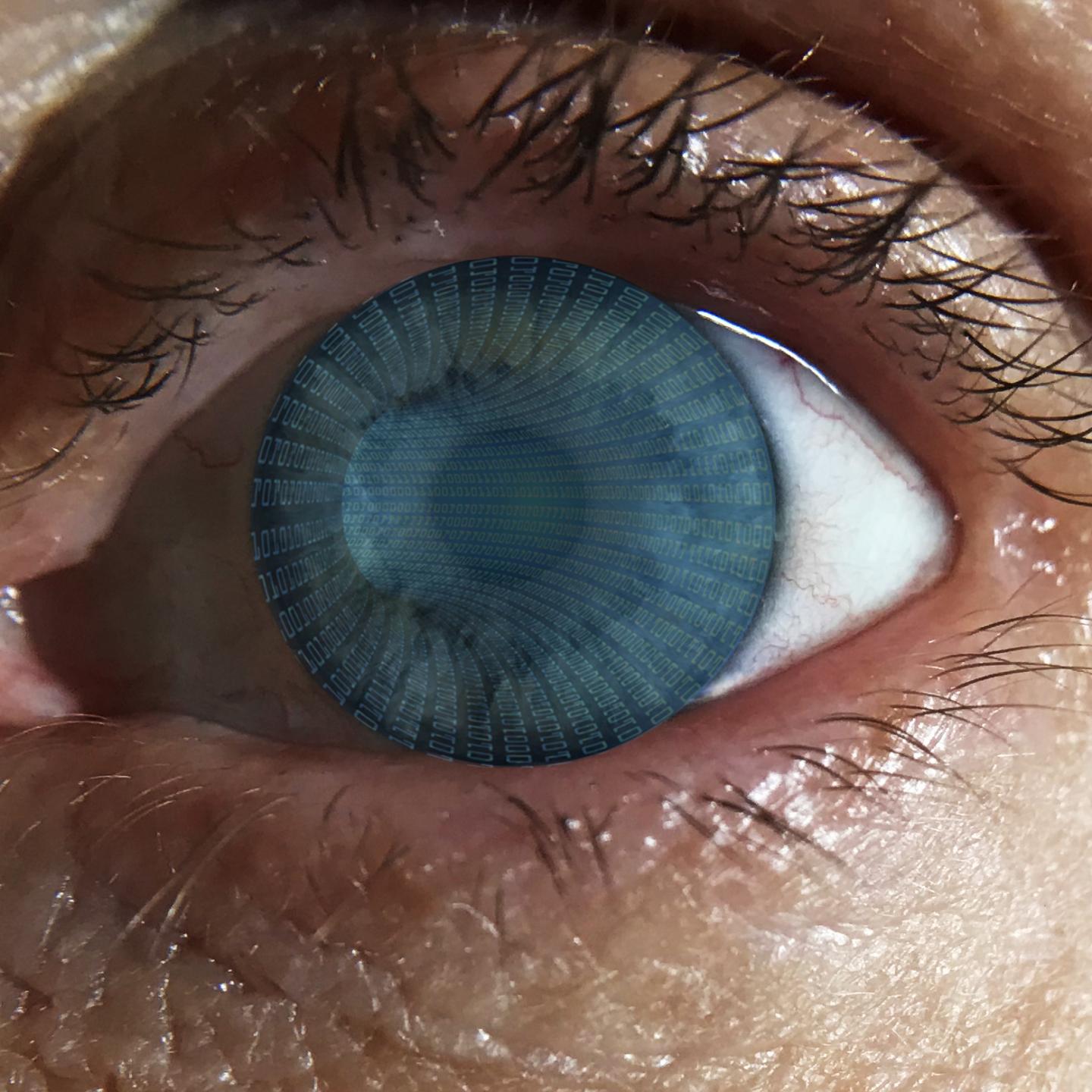 Pupil